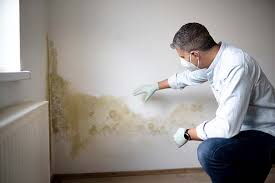 Best Residential Mold Inspection & Testing  in Ecru, MS